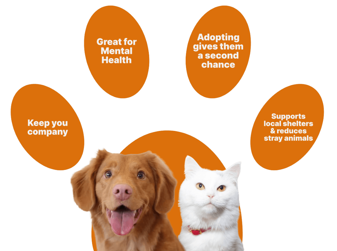 Benefits of pet adoption
