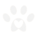 Decorative paw